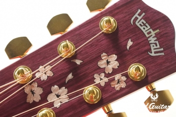 HD-SAKURA’21 SF,S-ESU/ATB #A02764